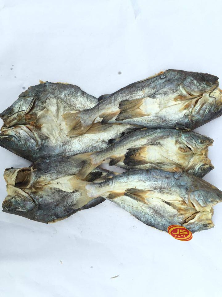 Ikan Masin Duri